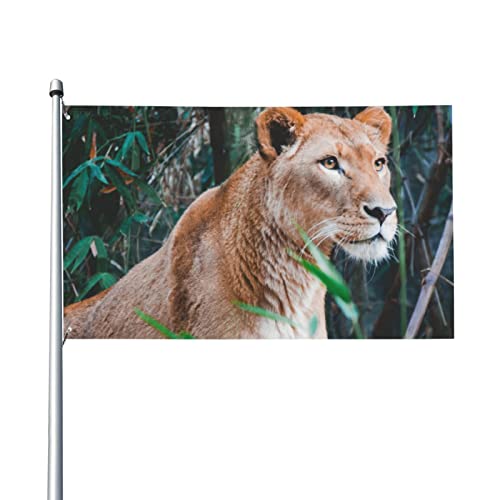 Flagge mit Löwenmotiv, bedruckt, 90 x 152 cm, leuchtende Farben, Gartendekoration, Banner, Schilder, verblassende Metallösen, für drinnen und draußen Flagge mit Löwenmotiv, bedruckt, 90 x 152 cm, leuchtende Farben, Gartendekoration, Banner, Schilder, verblassende Metallösen, für drinnen und draußen von Judjfedo