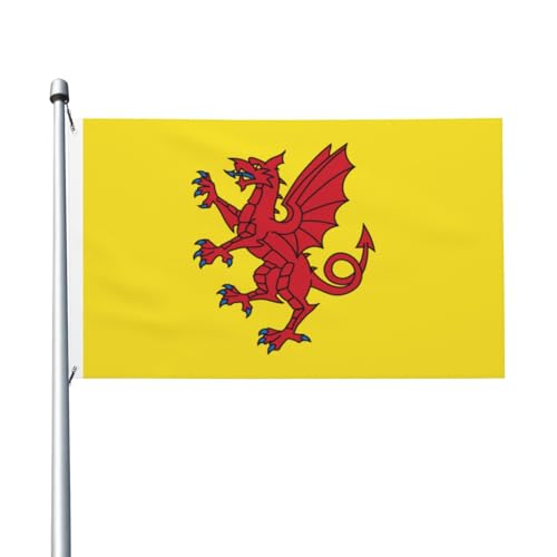 Somerset County-Flagge, 7,6 x 12,7 cm, doppelseitig, strapazierfähig, dekorativ, für den Außenbereich, ideal für Garten, Schlafzimmer und Partydekoration Somerset County-Flagge, 7,6 x 12,7 cm, doppelseitig, strapazierfähig, dekorativ, für den Außenbereich, ideal für Garten, Schlafzimmer und Partydekoration von Judjfedo