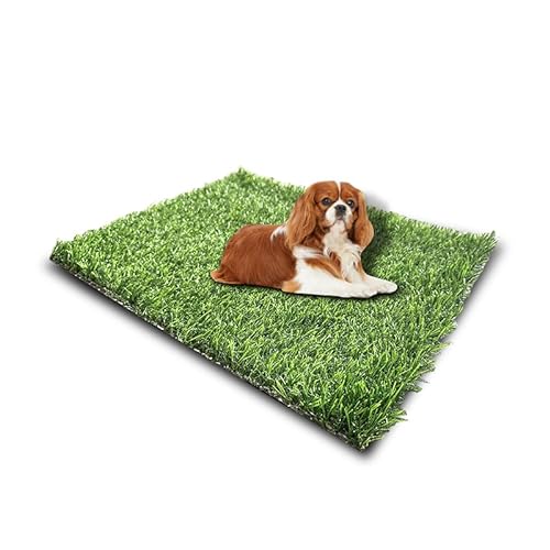 Jujia Grass Premium Kunstrasenteppich | Kunstrasen für den Außenbereich für Hunde | Hundegras-Pad | Kunstrasen für Hunde | Outdoor-Kunstrasen (35,6 x 45,7 cm/2 Stück) von Jujia Grass