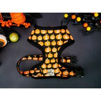 Halloween Kürbis Hundegeschirr Weste/Orange Schwarzes Süßes Kleines Mittelgroßes Welpen Designer Geschirr von JujuandNana