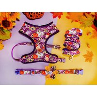 Herbst Sonnenblume Hundegeschirr Set/ Hundeleine Herbstlese/ Ernte Geschirr Und Leine/ Mädchen Kürbis Weste/ Thanksgiving Blumen von JujuandNana