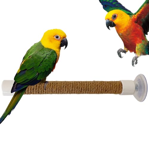 Jukeoiu -Dusch Sitzstange - Ständer Für Sittiche In Der Dusche - Vogel Sitzstange Mit Saugnapf Tragbares Käfig Zubehör Für Kakadus Und Sittiche Training Und Fenster Spiegel von Jukeoiu