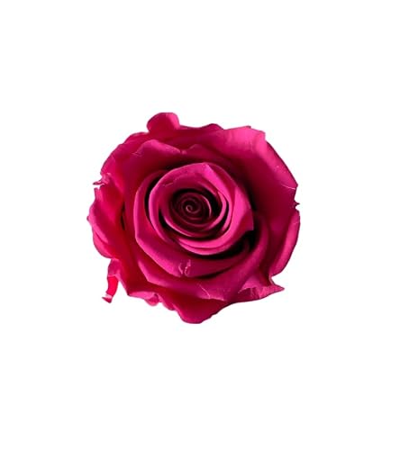 Juli Blumen, Rosenköpfe mit endlosen Blumen, Hot Pink von Juli