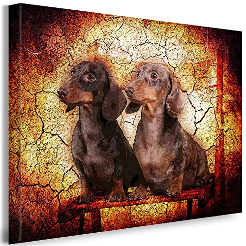 Julia-Art - Bilder Dackel Hund Leinwand mit Keilrahmen 120 x 80 cm Leinwandbild XXL Wandbild Tiere Kunstdrucke Tierwelten Bild Wanddesign Wanddekoration c-642v-62 von Julia-Art Leinwandbilder