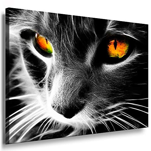 Julia-Art - Bilder Katze Leinwand mit Keilrahmen 80 x 60 cm Leinwandbild XXL Wandbild Tiere Kunstdrucke Tierwelten Bild Wanddesign Wanddekoration c-642v-207 von Julia-Art Leinwandbilder