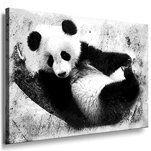 Julia-Art - Bilder Panda Leinwand mit Keilrahmen 40 x 30 cm Leinwandbild XXL Wandbild Tiere Kunstdrucke Tierwelten Bild Wanddesign Wanddekoration c-642v-204 von Julia-Art Leinwandbilder