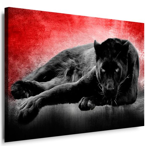 Julia-Art - Bilder Panther Leinwand mit Keilrahmen 120 x 80 cm Leinwandbild XXL Wandbild Tiere Kunstdrucke Tierwelten Bild Wanddesign Wanddekoration c-642v-209 von Julia-Art Leinwandbilder