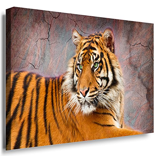 Julia-Art - Bilder Tiger Leinwand mit Keilrahmen 120 x 80 cm Leinwandbild XXL Wandbild Tiere Kunstdrucke Tierwelten Bild Wanddesign Wanddekoration c-642v-188 von Julia-Art Leinwandbilder