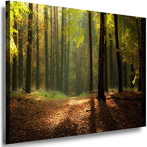 Julia-Art Leinwandbilder Landschaft Bild 100 x 70 x 2 cm - Wandbild 1 teilig - Wand Deko Modern Design Kunstdruck Sonne Herbstwald HR13-5 von Julia-Art Leinwandbilder