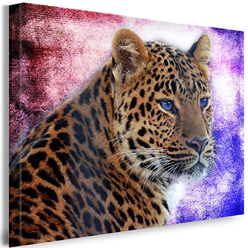 Julia-Art Leinwandbilder - Leopard Abstrakt Bild 1 teilig - 120 mal 80 cm Leinwand auf Rahmen - sofort aufhängbar Wandbild XXL - Kunstdrucke QN35-6 von Julia-Art Leinwandbilder