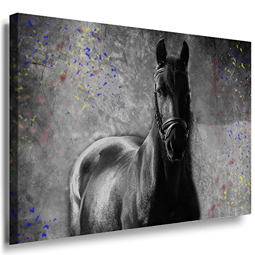 Julia-Art Leinwandbilder - Schwarzes Pferd Bild 1 teilig - 120 mal 80 cm Leinwand auf Rahmen - sofort aufhängbar Wandbild XXL - Kunstdrucke QN170-6 von Julia-Art Leinwandbilder