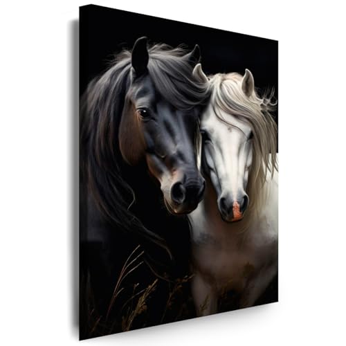 Julia-Art - Bilder Leinwandbild Pferde 70x50x2cm klassisch Retro-Stil Moderne Kunst Tiere Wanddeko Kunstdrucke Wandbilder XXL Schwarz-Weiß Pferdepaar Liebe Fotografie von Julia-Art