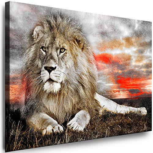 Julia-Art - Leinwandbilder - XXL Leinwand Bild (100 x 70 cm 1 teilig) Wandbilder mit Keilrahmen - Kunstdrucke Weisse Löwen Albino Tiere Raubtiere Afrika Tierwelt N-c-8-a-47 von Julia-Art