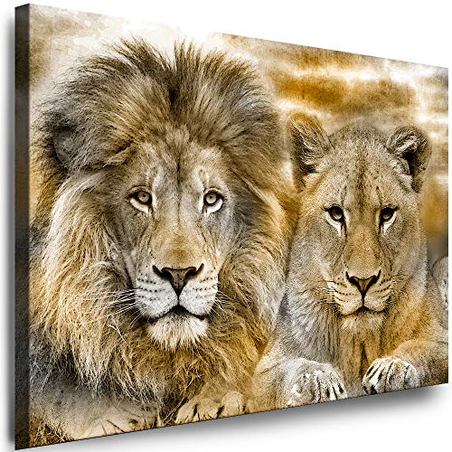 Julia-Art - Leinwandbilder - XXL Leinwand Bild (40 x 30 cm 1 teilig) Wandbilder mit Keilrahmen - Kunstdrucke Weisse Löwen Albino Tiere Raubtiere Afrika Tierwelt N-c-8-a-15 von Julia-Art