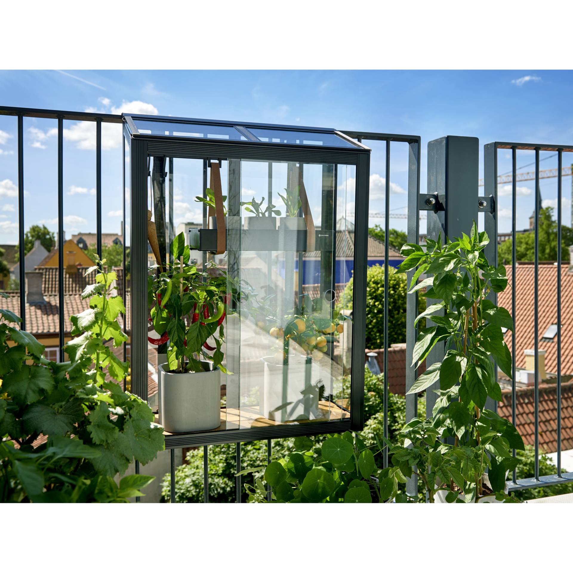 Juliana Balkon-Gewächshaus 'Urban Balcony' schwarz 60 x 27 x 79 cm von Juliana