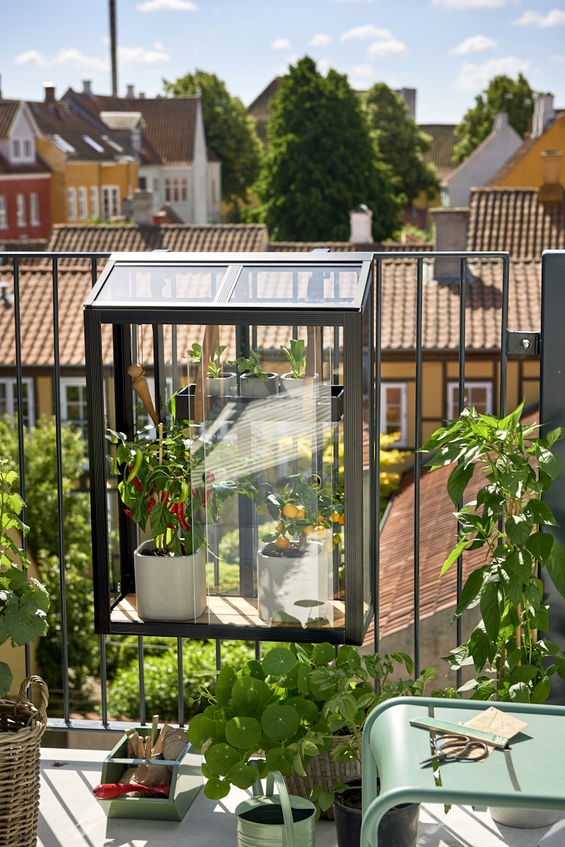 Juliana Gewächshaus Urban Balcony - 0,16 m² schwarz von Juliana