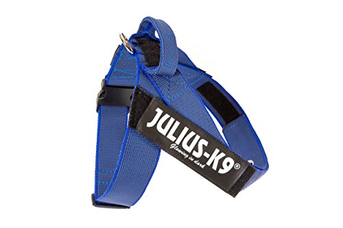 Julius-K9, IDC® Color & Gray® Beltgeschirr Julius-K9, IDC® Color & Gray® Beltgeschirr von JULIUS K-9