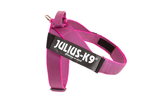 Julius-K9, Color & Gray, Beltgeschirr von JULIUS K-9