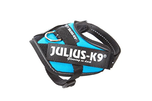 JULIUS K-9 IDC Powergeschirr, Größe: 2XS / Baby 2, Aquamarine, 16IDC-AM-B2 von JULIUS K-9