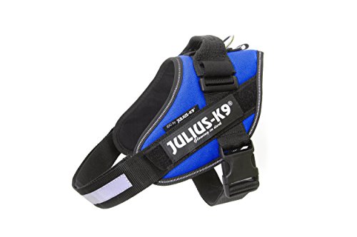 Julius K9 16IDC-B-1 IDC-Powergeschirr mit Logofeld, Gr. 1, blau von JULIUS K-9