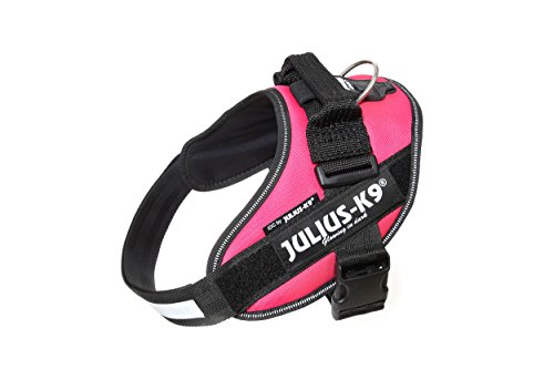 Julius-K9, IDC Powergeschirr, Größe: M / 0, Dunkelpink von JULIUS K-9