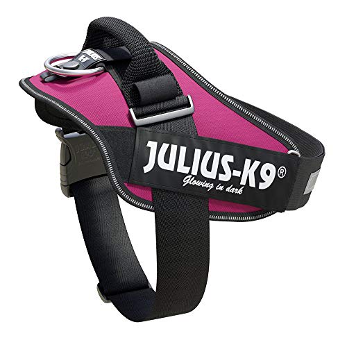 Julius-K9, IDC Powergeschirr, Größe: L / 1, Dunkelpink von JULIUS K-9
