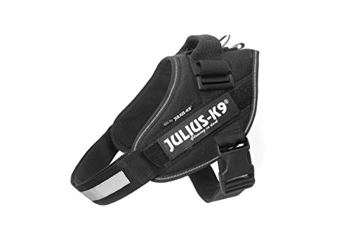 Julius K9 16IDC-P-0 IDC-Powergeschirr mit Logofeld, Gr. 0, schwarz von JULIUS K-9