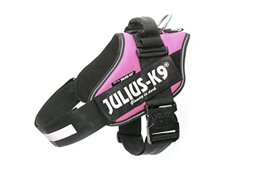 Julius K9 16IDC-PN-3 IDC-Powergeschirr mit Logofeld, Gr. 3, pink von JULIUS K-9