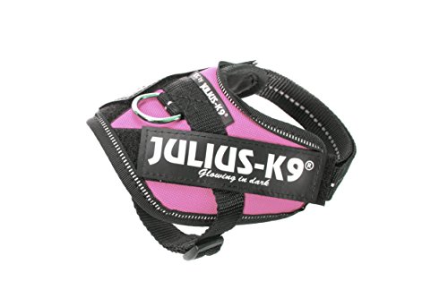 Julius-K9, 16IDC-PN-B2, IDC-Powergeschirr, Hundegeschirr, Größe: Baby 2, pink Julius-K9, 16IDC-PN-B2, IDC-Powergeschirr, Hundegeschirr, Größe: Baby 2, pink von JULIUS K-9