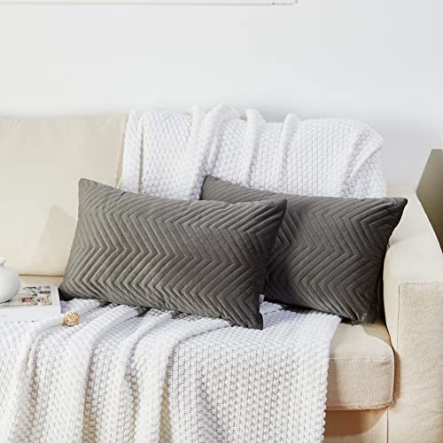 Juliyeh 2er Set Samt Kissenbezüge Kissenhülle Dekokissen Dekorative Kissenbezug Sofakissen Sitzkissen Samtkissen mit Prägemuster für Sofa Wohnzimmer Schlafzimmer 30x50 cm Grau von Juliyeh