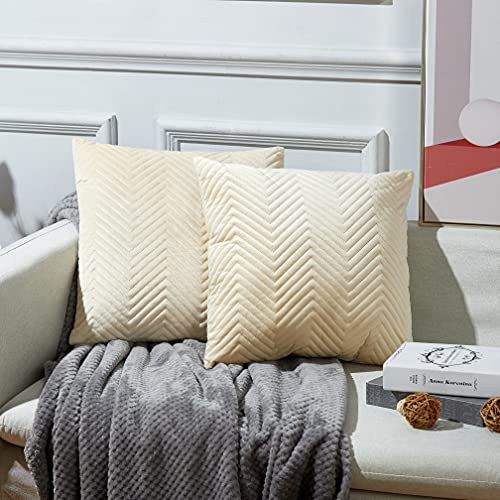 Juliyeh 2er Set Samt Kissenbezug Kissenbezüge Dekorative Kissenbezug Zierkissenbezüge Sofakissen Sanft Einfarbige Moderne Quadratische Kissenbezug für Sofa 60x60 cm Nicht-gerade Weiss von Juliyeh