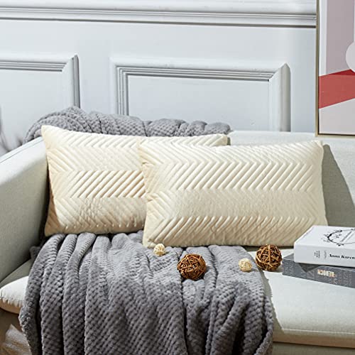 Juliyeh 2er Set Samt Kissenbezüge Kissenhülle Dekokissen Dekorative Kissenbezug Sofakissen Sitzkissen Samtkissen mit Prägemuster für Sofa Wohnzimmer 40x60cm Nicht-gerade Weiss von Juliyeh