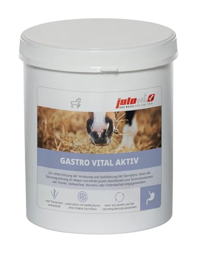 JuloVet Gastro Vital Aktiv | 1 kg | Ergänzungsfuttermittel für Pferde | Kann die Säureregulierung im Magen-Darm-Trakt positiv beeinflussen | Einfach zu verabreichen JuloVet Gastro Vital Aktiv | 1 kg | Ergänzungsfuttermittel für Pferde | Kann die Säureregulierung im Magen-Darm-Trakt positiv beeinflussen | Einfach zu verabreichen von JuloVet