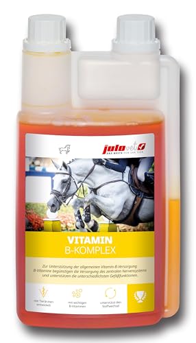 JuloVet Vitamin B-Komplex | 1 l | Ergänzungsfuttermittel für Pferde | Unterstützung der Vitamin-B-Versorgung | Kann die Versorgung des zentralen Nervensystems begünstigen JuloVet Vitamin B-Komplex | 1 l | Ergänzungsfuttermittel für Pferde | Unterstützung der Vitamin-B-Versorgung | Kann die Versorgung des zentralen Nervensystems begünstigen von JuloVet