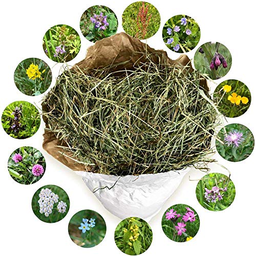 Heu 2. Schnitt - Qualitäts-Kleintier-Futter - für Kaninchen Hasen Hamster Nager - lose im Öko Papiersack aus der größten Heumilch-Region Europas in Österreich (3 kg) von Jumbogras