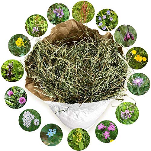 NATURHEU 2. Schnitt. Qualitäts-Kleintier-Futter für Kaninchen Hasen Hamster Nageraus der größten Heumilch-Region Europas in Österreich~1 kg lose im ÖKO-Papiersack von Jumbogras