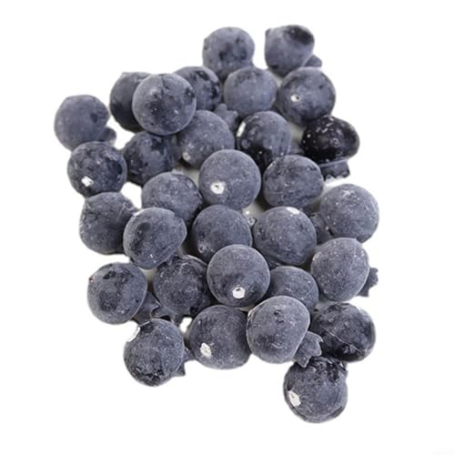 Jumplushion Lebensechte künstliche Blaubeeren Set mit 20 dekorativen Früchten, perfekt für verschiedene Anlässe Jumplushion Lebensechte künstliche Blaubeeren Set mit 20 dekorativen Früchten, perfekt für verschiedene Anlässe von Jumplushion