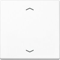 Jung Steuertaste Standard Symbole Pfeile A 1700 P WW Jung Steuertaste Standard Symbole Pfeile A 1700 P WW von Jung