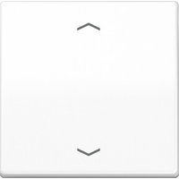 Jung Steuertaste Standard Symbole Pfeile AS 1700 P WW von Jung