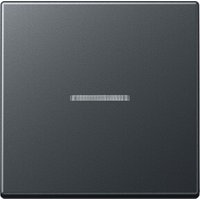 Jung Wippe mit Linse anthrazit matt A 590 BF KO5 ANM von Jung