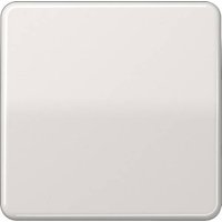 Jung 1fach Abdeckung Wechselschalter, Taster Grau CD590LG Jung 1fach Abdeckung Wechselschalter, Taster Grau CD590LG von Jung