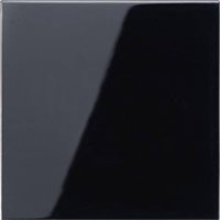 Jung 1fach Abdeckung Wechselschalter Schwarz LS990SW Jung 1fach Abdeckung Wechselschalter Schwarz LS990SW von Jung