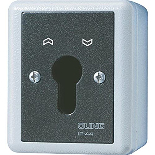 Jung SCHLUESSEL-SCHALTER 10A250V 804.28 G von JUNG