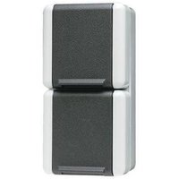 Jung - Steckdose 2-fach grau glänzend ap Klappd IP44 wg 800 822 w von Jung