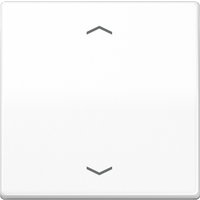 Jung Steuertaste Standard Symbole Pfeile AS 1700 P WW - AS1700PWW von Jung