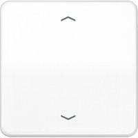 Jung Steuertaste Standard Symbole Pfeile CD 1700 P WW Jung Steuertaste Standard Symbole Pfeile CD 1700 P WW von Jung