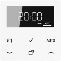 Jung Timer Standard, Display Echtglasfront A 1750 D WW von Jung