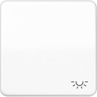Jung Wippe Symbol LICHT aws für Taster CD 590 L WW Jung Wippe Symbol LICHT aws für Taster CD 590 L WW von Jung