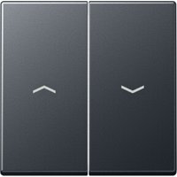 Jung Wippe Symbole Pfeile 2-f anthrazit matt A 595 BF P ANM Jung Wippe Symbole Pfeile 2-f anthrazit matt A 595 BF P ANM von Jung