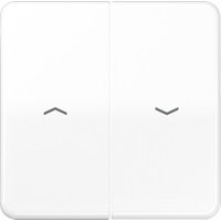 Jung Wippe Symbole aws für Jal.Schalter CD 595 PBF WW von Jung